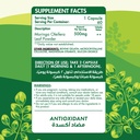 Organic Nation Moringa Oleifera-60Servings-60 Capsules