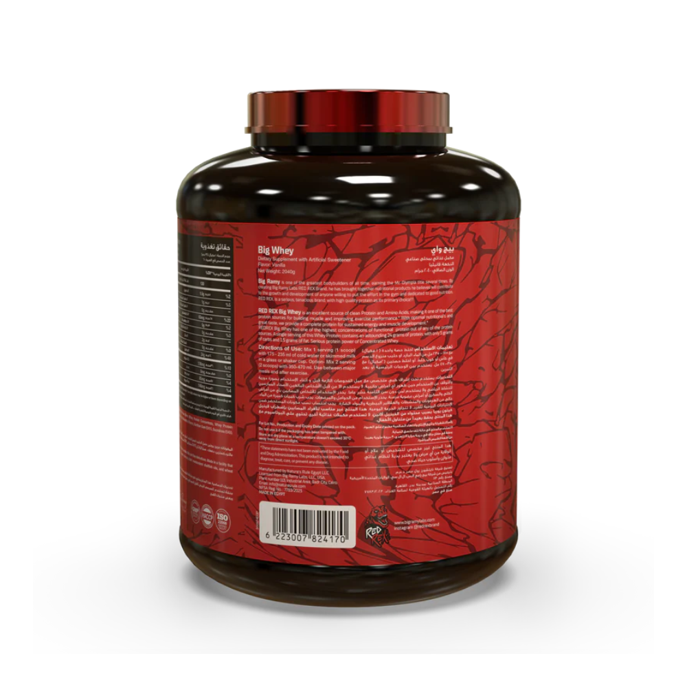 Big Ramy Labs Building Bigger Bodies Big Whey-60Serv-2040G-Chocolate
